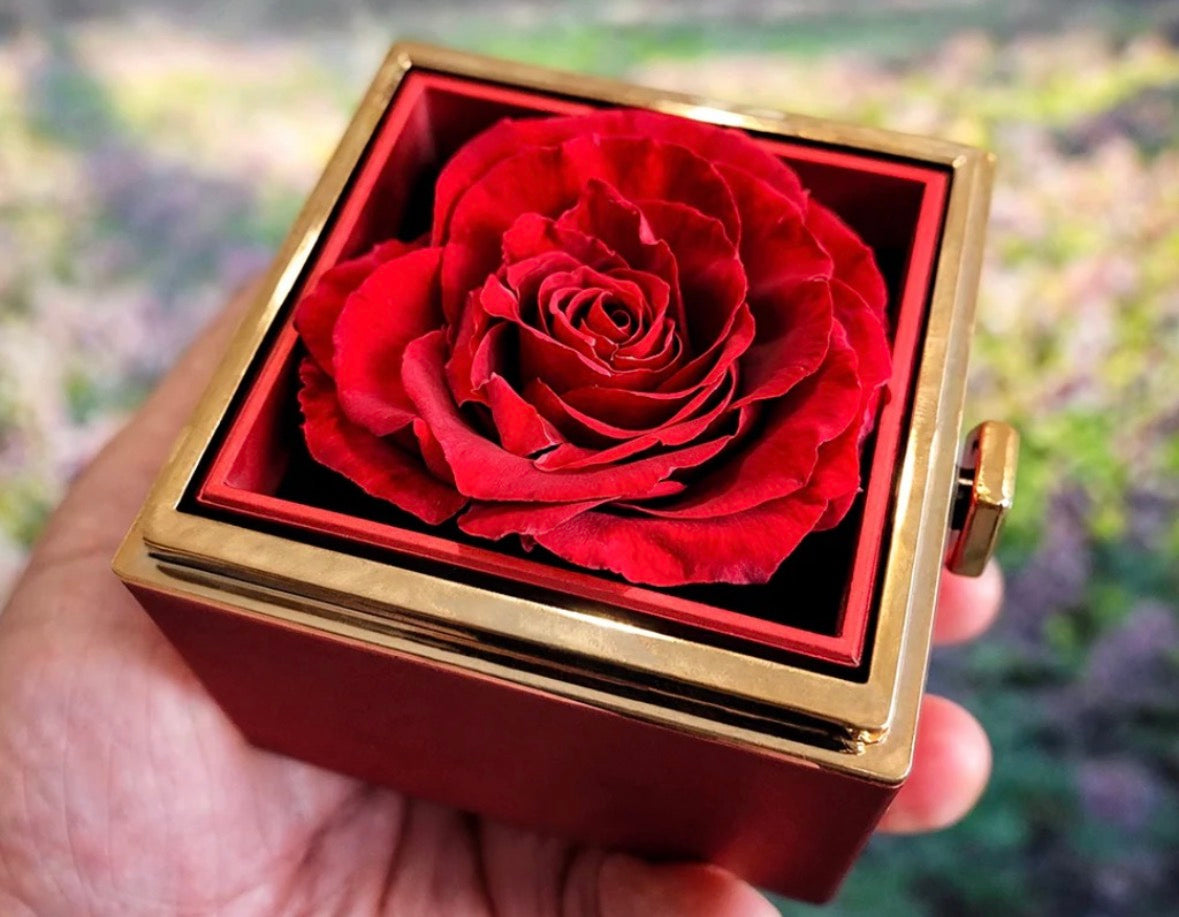Love Knot, Rotating Rose Gift Box